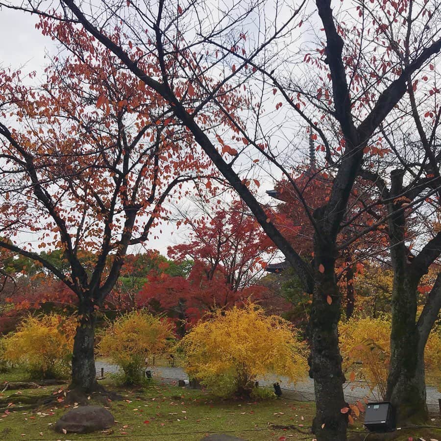 塚田文さんのインスタグラム写真 - (塚田文Instagram)「秋の京都へ。  東寺  この五重塔は木造の建築物として日本一の高さを誇るのだとか。(高さ約55m)  秋季特別公開にあたり、五重塔の初層が観られました！色あせてはいたけれど、想像で補うとそれはそれは色彩豊かな内部です✨また描かれた模様はどこかインドを感じました。(和っぽくない感じ😅貧困ボキャ💦) 初めての写経も経験してみました。(髪の毛ボッサボサだけど。) 🕰小一時間があっという間に。 場所は東寺の“食堂” “しょくどう”はどこですか？と聞いたら、“じきどう”はあちらですょ。と間髪入れずに言われました😅“じきどう”って読むンですね💦  五重塔を眺めながら一服。 拾った落ち葉を添えてみました。  #2019年秋 #2019紅葉 #京都 #東寺 #五重塔 #初層 #初層内部特別拝観 #食堂 #写経体験  #japantravel #japantrip #autumn2019 #autumninkyoto #kyoto #toji #tojitemple #sutracopying #transcribingasutra」12月7日 20時34分 - tsukadaaya1976