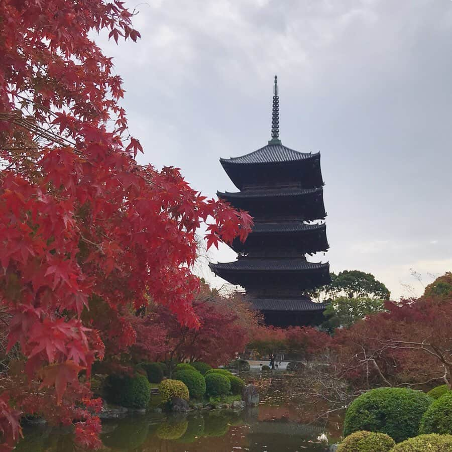 塚田文のインスタグラム：「秋の京都へ。  東寺  この五重塔は木造の建築物として日本一の高さを誇るのだとか。(高さ約55m)  秋季特別公開にあたり、五重塔の初層が観られました！色あせてはいたけれど、想像で補うとそれはそれは色彩豊かな内部です✨また描かれた模様はどこかインドを感じました。(和っぽくない感じ😅貧困ボキャ💦) 初めての写経も経験してみました。(髪の毛ボッサボサだけど。) 🕰小一時間があっという間に。 場所は東寺の“食堂” “しょくどう”はどこですか？と聞いたら、“じきどう”はあちらですょ。と間髪入れずに言われました😅“じきどう”って読むンですね💦  五重塔を眺めながら一服。 拾った落ち葉を添えてみました。  #2019年秋 #2019紅葉 #京都 #東寺 #五重塔 #初層 #初層内部特別拝観 #食堂 #写経体験  #japantravel #japantrip #autumn2019 #autumninkyoto #kyoto #toji #tojitemple #sutracopying #transcribingasutra」