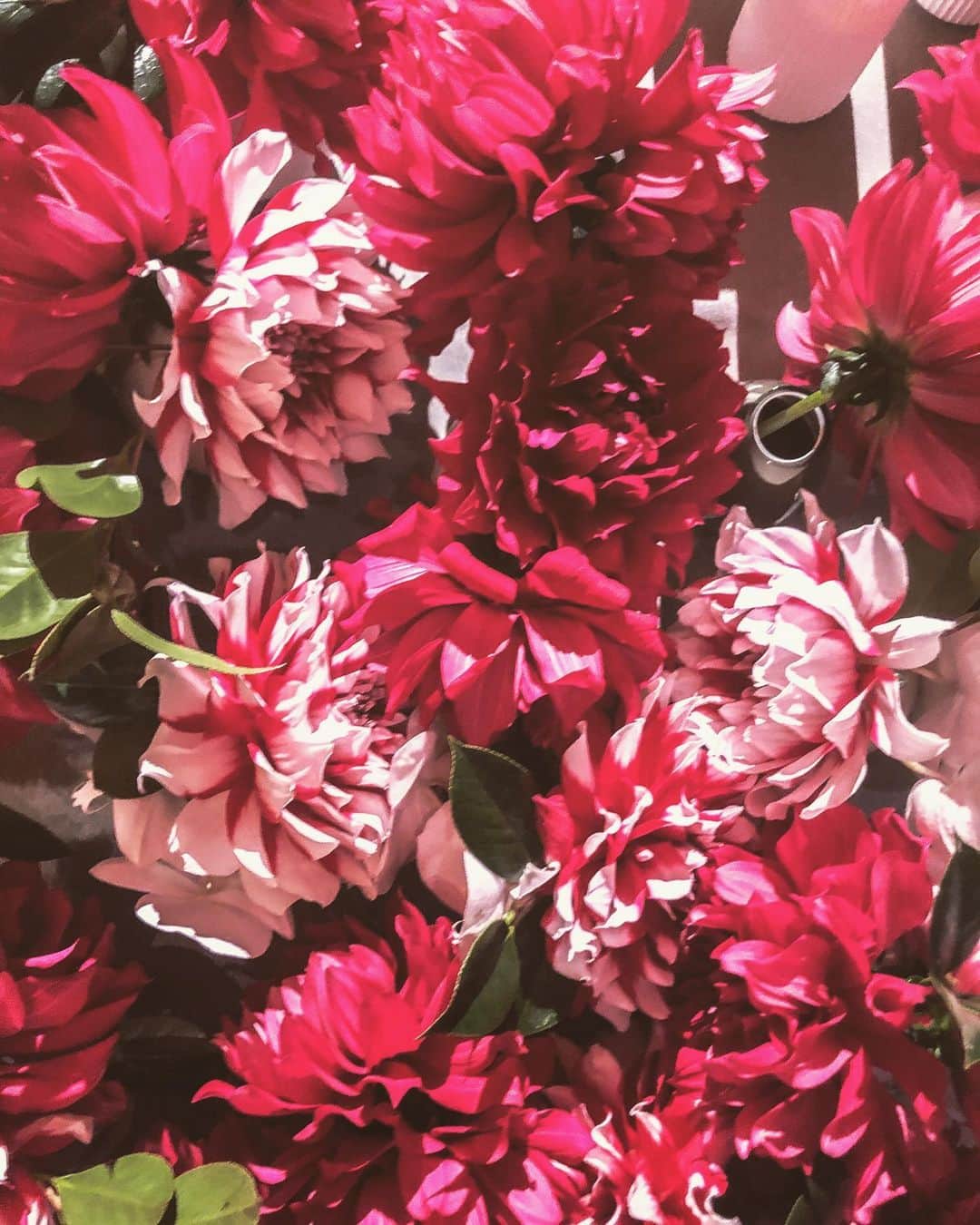 giraffeのインスタグラム：「#food #giftflower #flower #flowers #flowerart #flowerdesign #flowerpower #flowerstagram #flower #flowerarrangement #flowerbouquet #florist #floral #florals #floralart #floraldesign #art #design #nature #beauty #simplicity #sophistication #catering #wedding#osaka#japan #tokyo」