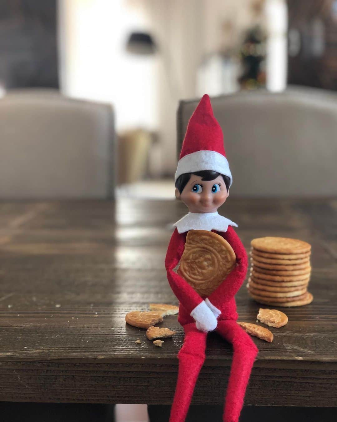 サラ・カルボネロさんのインスタグラム写真 - (サラ・カルボネロInstagram)「Mirad quién ha vuelto . #theelfontheshelf #Tommy #yapodemosportarnosbien #Navidad2019 #Porto #slowlife」12月7日 21時19分 - saracarbonero