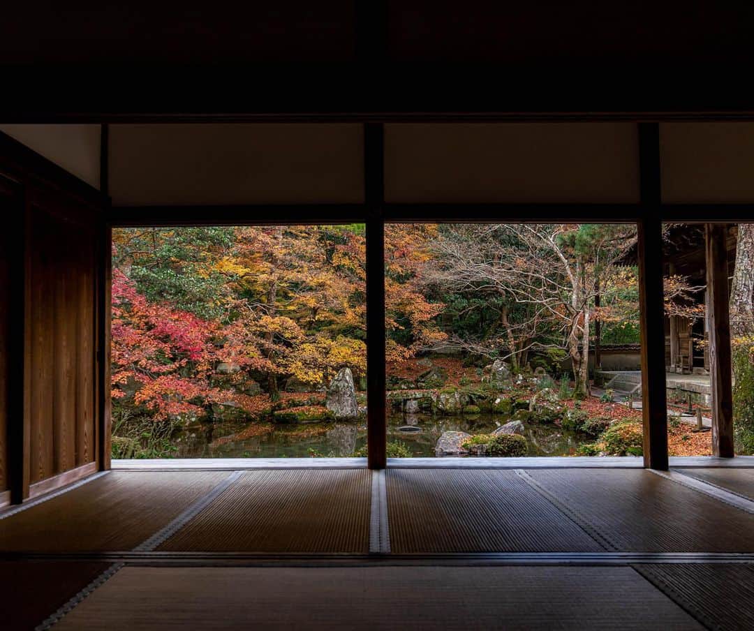 のインスタグラム：「My favorite quiet place. — #japan #kyoto #rengejitemple #temple #nature #beautiful #日本 #京都 #蓮華寺 #寺 #自然」