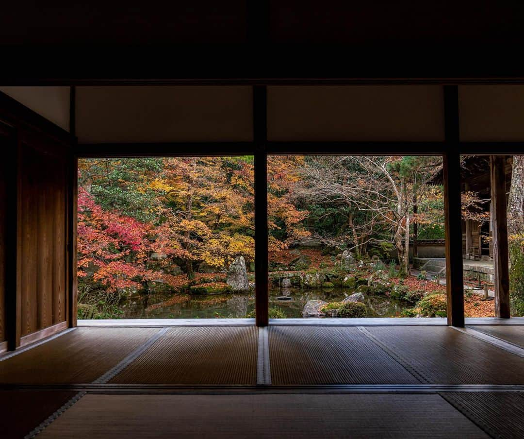 山口淳一さんのインスタグラム写真 - (山口淳一Instagram)「My favorite quiet place. — #japan #kyoto #rengejitemple #temple #nature #beautiful #日本 #京都 #蓮華寺 #寺 #自然」12月7日 21時30分 - junichi_yamaguchi