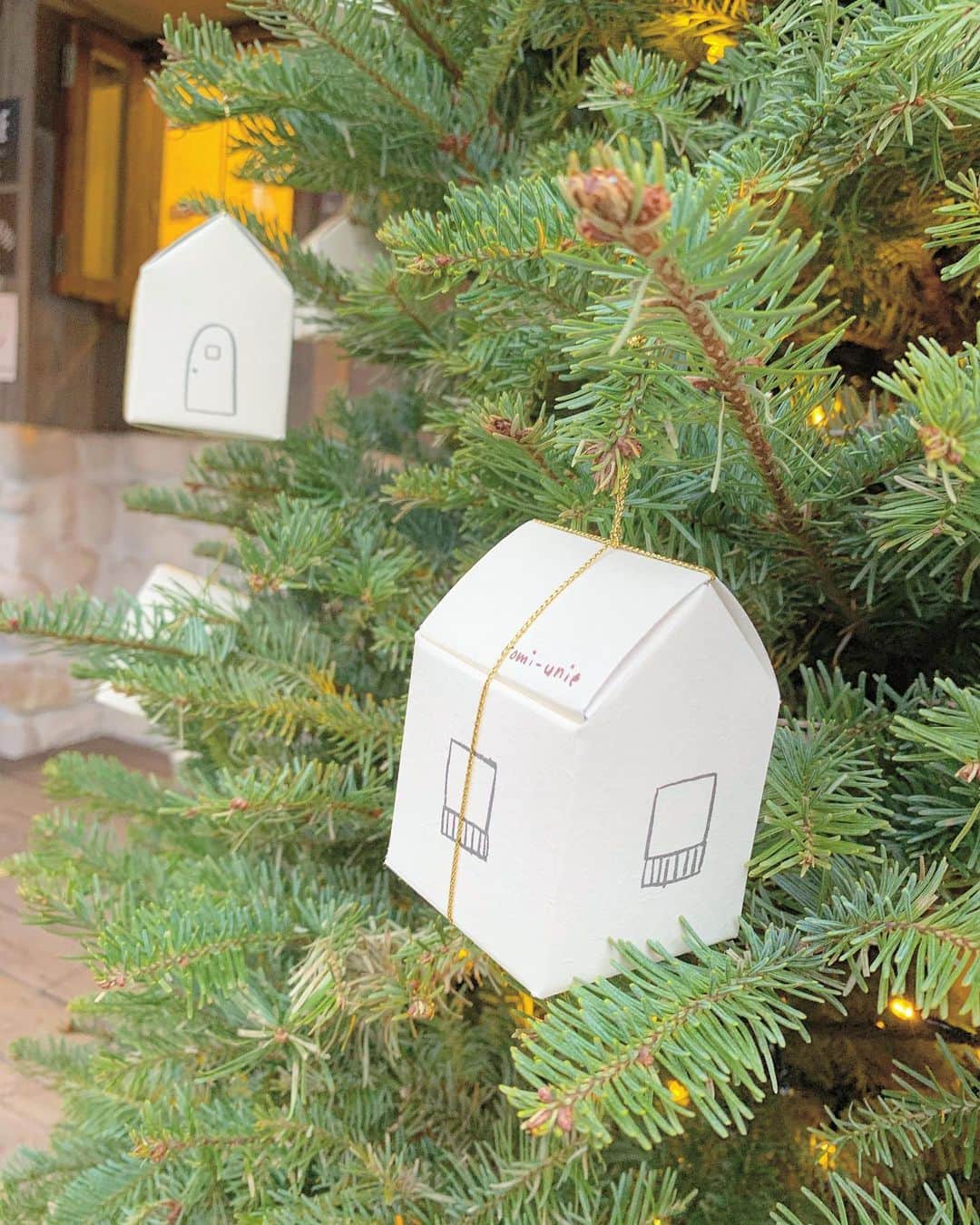 Dressy編集長 ♡miiのグルメインスタ