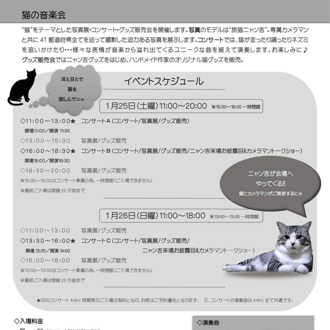 Nyankichi Noranekoさんのインスタグラム写真 - (Nyankichi NoranekoInstagram)「2020年1月25日、26日に東京両国で旅猫ニャン吉写真展&猫の音楽会をやります。 九州からニャン吉も舞台挨拶にお伺いします。 ご予約はプロフィール下のウェブサイトから😸 皆さんよろしくにゃり😀  #猫 #고양이 #แมว #貓 #кошка #qata #chat #ニャンスタグラム #にゃんすたぐらむ #gato #ねこ部 #旅猫 #動物 #ねこのきもち #ニャン吉 #保護猫 #イケニャン #japan #猫写真 #ねこ #mèo #kucing #ネコ #東京 #音楽会 #両国」12月7日 21時45分 - noraneko_nyankichi