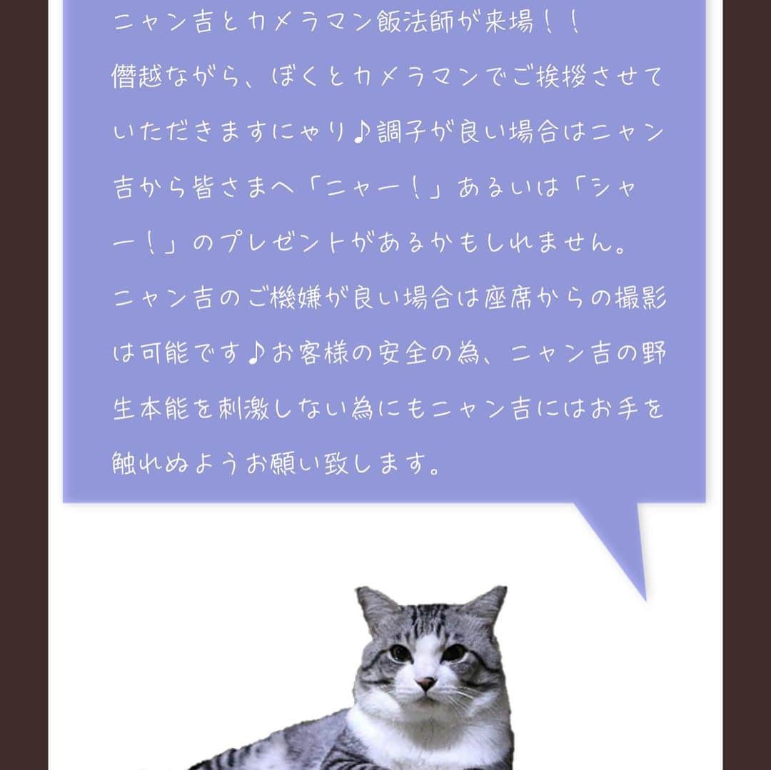 Nyankichi Noranekoさんのインスタグラム写真 - (Nyankichi NoranekoInstagram)「2020年1月25日、26日に東京両国で旅猫ニャン吉写真展&猫の音楽会をやります。 九州からニャン吉も舞台挨拶にお伺いします。 ご予約はプロフィール下のウェブサイトから😸 皆さんよろしくにゃり😀  #猫 #고양이 #แมว #貓 #кошка #qata #chat #ニャンスタグラム #にゃんすたぐらむ #gato #ねこ部 #旅猫 #動物 #ねこのきもち #ニャン吉 #保護猫 #イケニャン #japan #猫写真 #ねこ #mèo #kucing #ネコ #東京 #音楽会 #両国」12月7日 21時45分 - noraneko_nyankichi