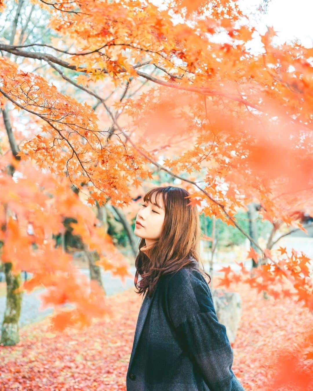 Kobe Japan Water artのインスタグラム：「"The sound of silence" . 秋の音色🍁」