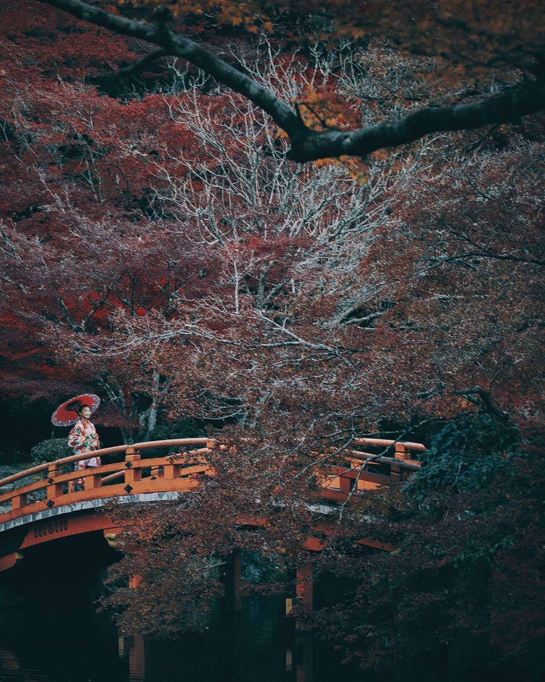 Berlin Tokyoさんのインスタグラム写真 - (Berlin TokyoInstagram)「Humble yet exquisite, Kyoto’s cultural heritages represent Japanese appreciation of nature and the traditions. . . . #hellofrom #kyoto #japan」12月7日 22時05分 - tokio_kid
