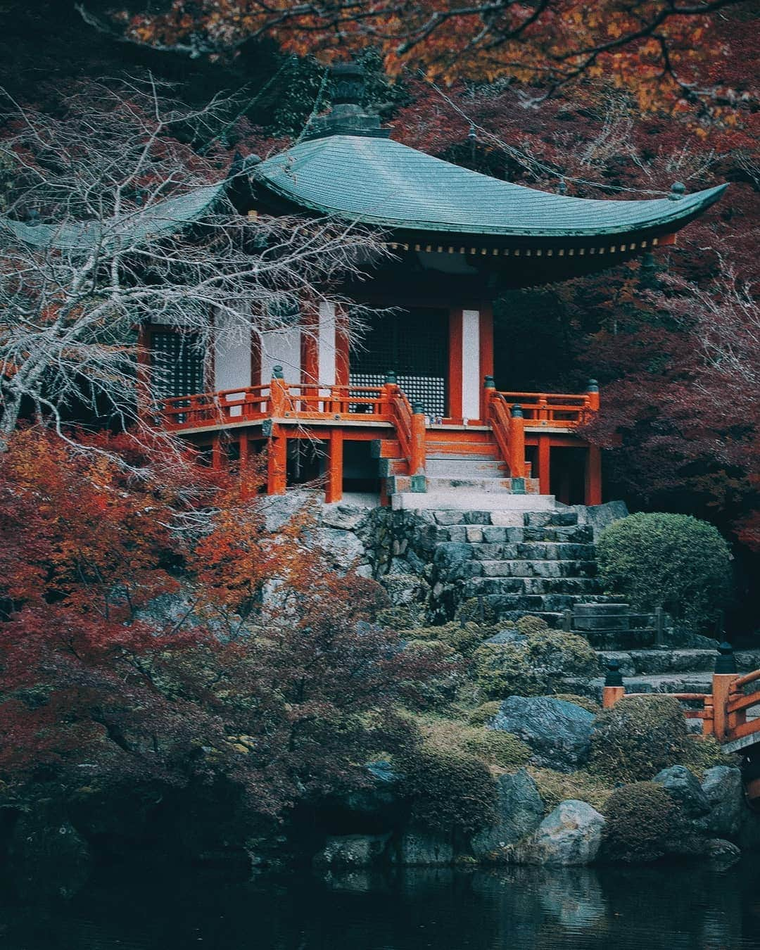 Berlin Tokyoさんのインスタグラム写真 - (Berlin TokyoInstagram)「Humble yet exquisite, Kyoto’s cultural heritages represent Japanese appreciation of nature and the traditions. . . . #hellofrom #kyoto #japan」12月7日 22時05分 - tokio_kid