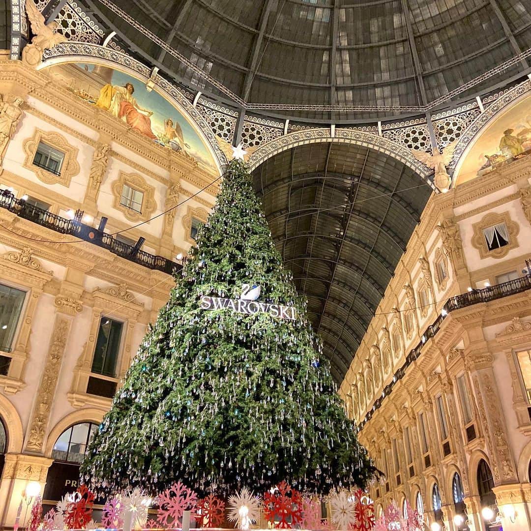 杉下理世のインスタグラム：「Milano Chiristmas🎄  #christmas #クリスマス #milano」