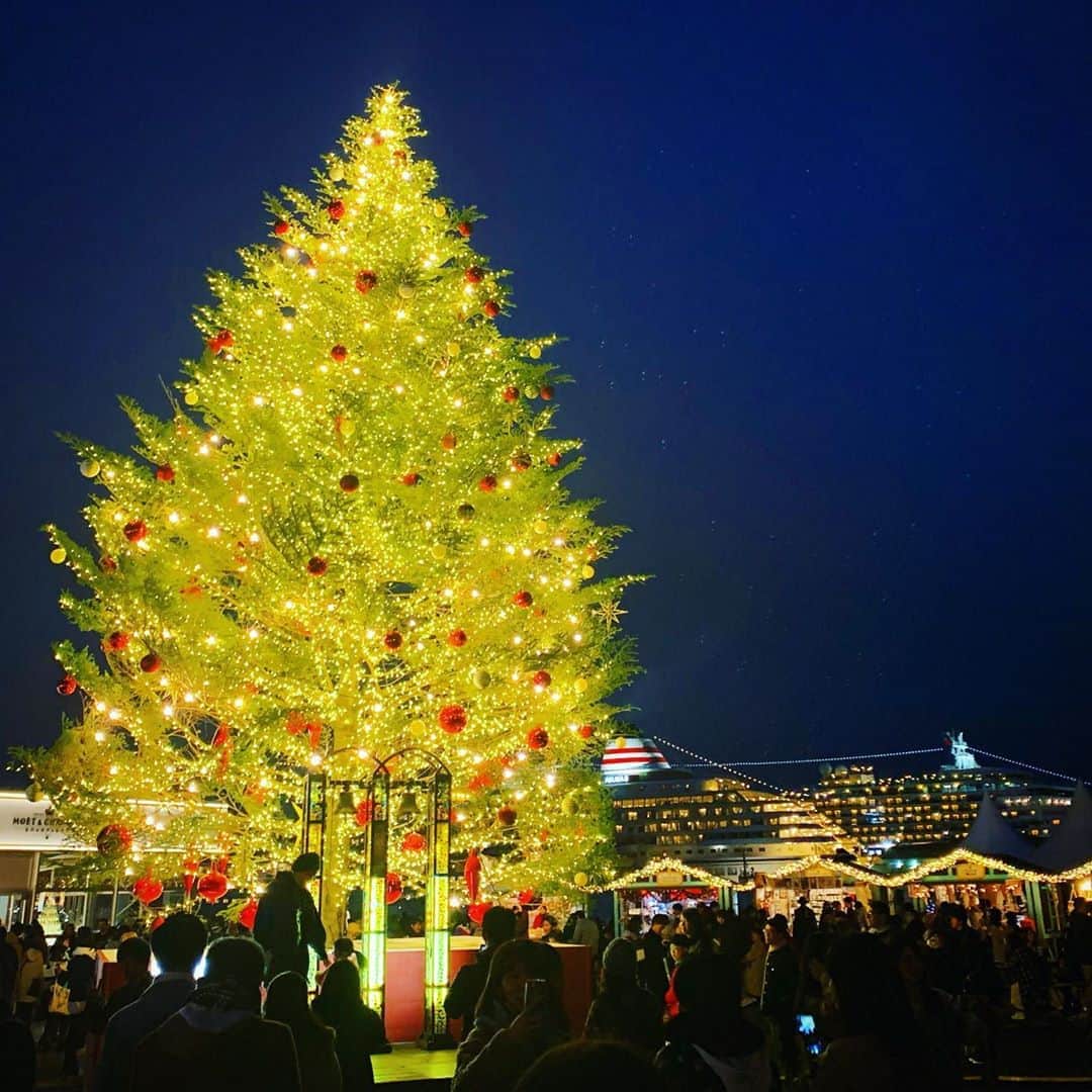結城さなえさんのインスタグラム写真 - (結城さなえInstagram)「🎄🍷🛳👏🏻✨ #クリスマスツリー #クリスマスマーケット  #夜景 #横浜 #飛鳥ii #イルミネーション #ホットワイン #ホットビール #美味しい #あったまる」12月7日 23時13分 - yuukisanae