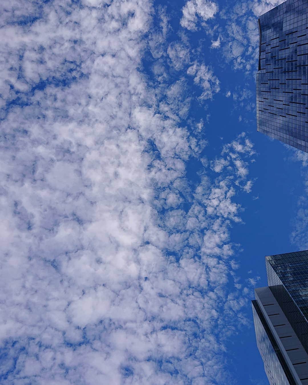 末野卓磨さんのインスタグラム写真 - (末野卓磨Instagram)「快晴ではなくとも、美しい晴れ  #雲 #晴れ #cloud」12月7日 23時19分 - takuma_sueno
