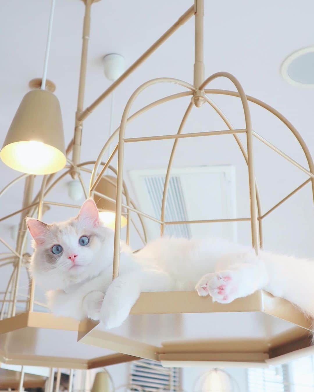 中田絵里奈のグルメインスタ