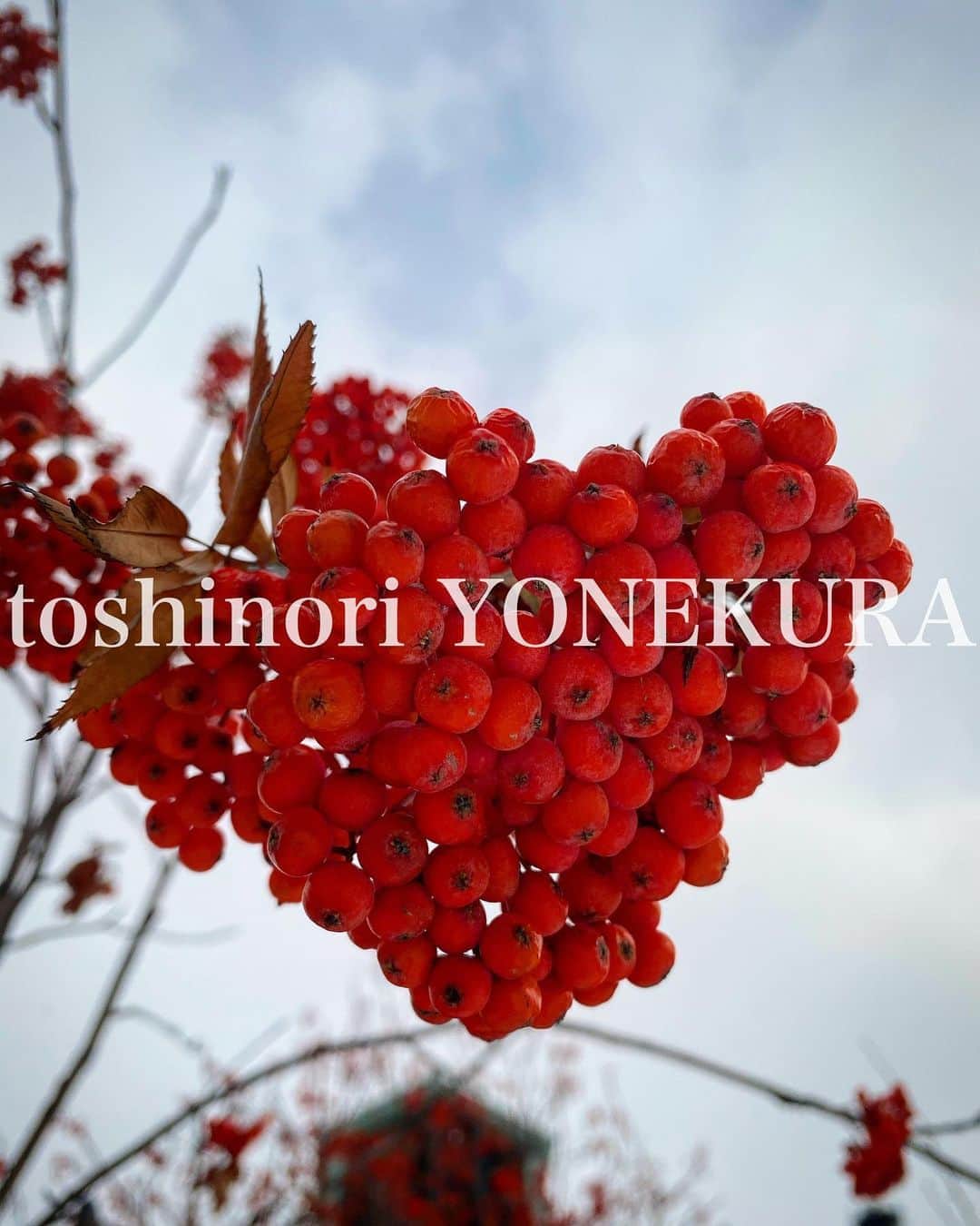 米倉利紀さんのインスタグラム写真 - (米倉利紀Instagram)「札幌で見つけた小さな❤️ #平和 #祈り #願い」12月7日 23時51分 - toshi_yonekura