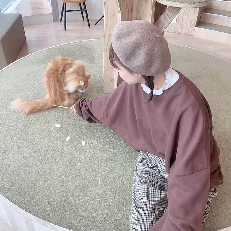 みさねのグルメインスタ