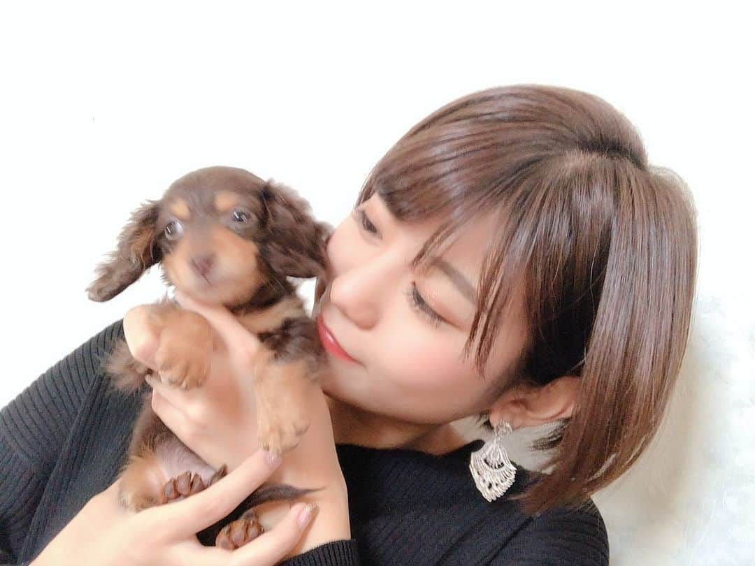 矢端名結さんのインスタグラム写真 - (矢端名結Instagram)「今朝の矢端チョコナナさん  #連続投稿すみません #だってさ超可愛いんだもん #心臓の音はやい #カニヘンダックスフンド #生後2カ月 #800g #矢端チョコナナ」12月8日 12時04分 - miyu_yabata