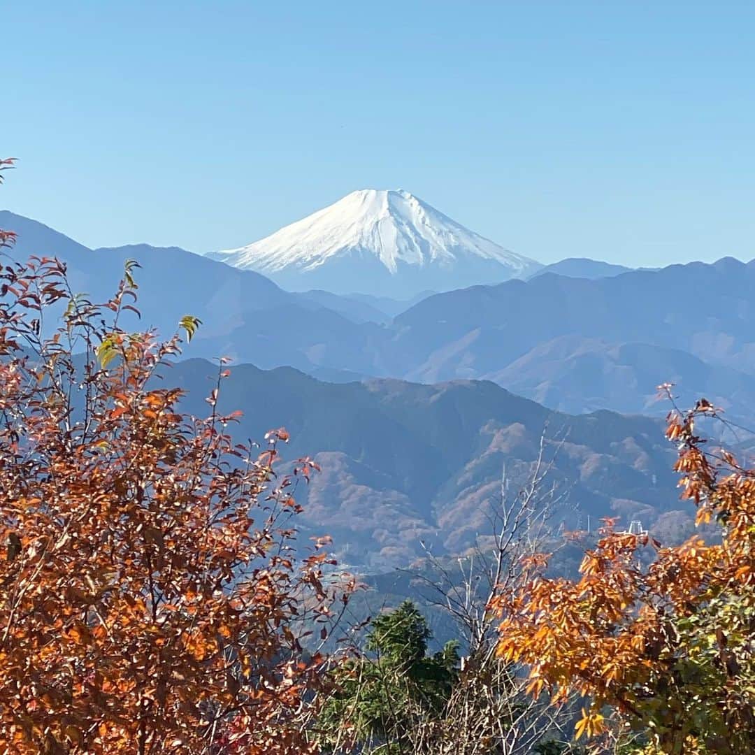 宋美玄さんのインスタグラム写真 - (宋美玄Instagram)「高尾山に来ました。今回は稲荷山ルート。小学2年生のミコたんはまだまだ行けそうですが、縦走しちゃうと麓の温泉が遠くなるので下山しまーす。 #高尾山 #めっちゃ混んでる #稲荷山コース #富士山がきれい」12月8日 12時13分 - mihyonsongkobe