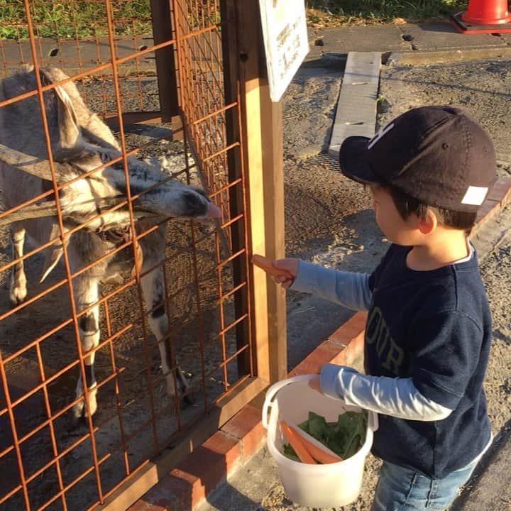 蒲生麻由のインスタグラム：「母と熱海&伊豆♨️旅行☺️ 1日目は宿に向かいがてら、 酪農王国オラッチェへ。 動物達にひたすらご飯あげる♾  #エサやりエンドレス #無くなるたびに走って餌の入ったカゴ持ってくる #その度お金払う母... #次男抱っこしてる母ちゃん #長男走るの早くて追いつかない #あの...息子よタダじゃないのよ😂 #牛乳大好きっ子 #mamalife #男の子ママ #2歳10ヶ月男の子」