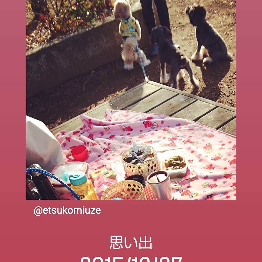 のインスタグラム：「皆さまに間違ってお手つき送信したもようですー ごめんなさい。 思い出 旬太郎０歳小さいですー _(._.)_」