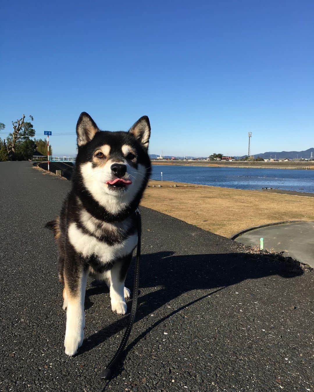 しんたのインスタグラム