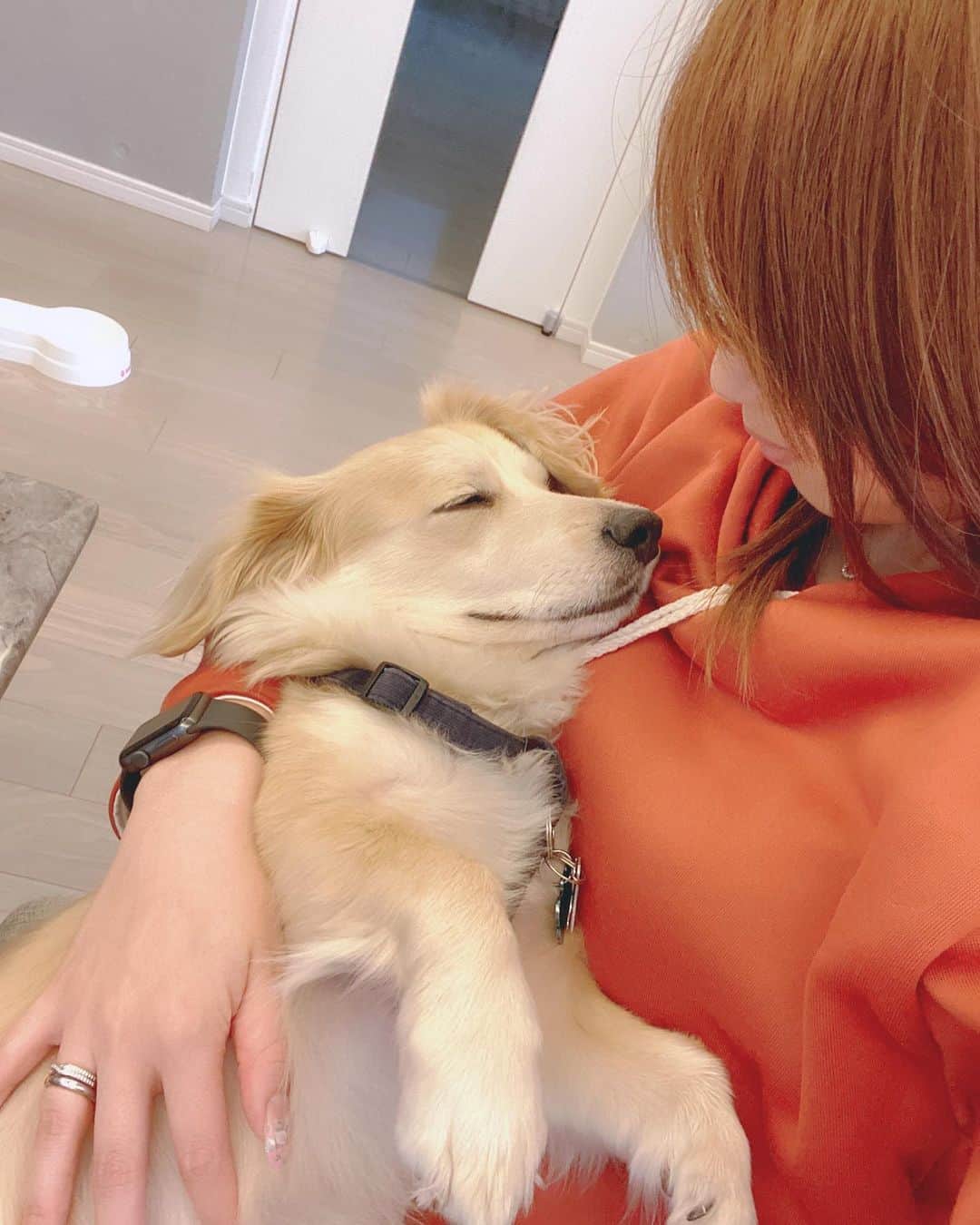 野田彩加さんのインスタグラム写真 - (野田彩加Instagram)「幸せそうな寝顔🐶❤️ #dog #にょろ　#大好き」12月8日 21時56分 - aya.205