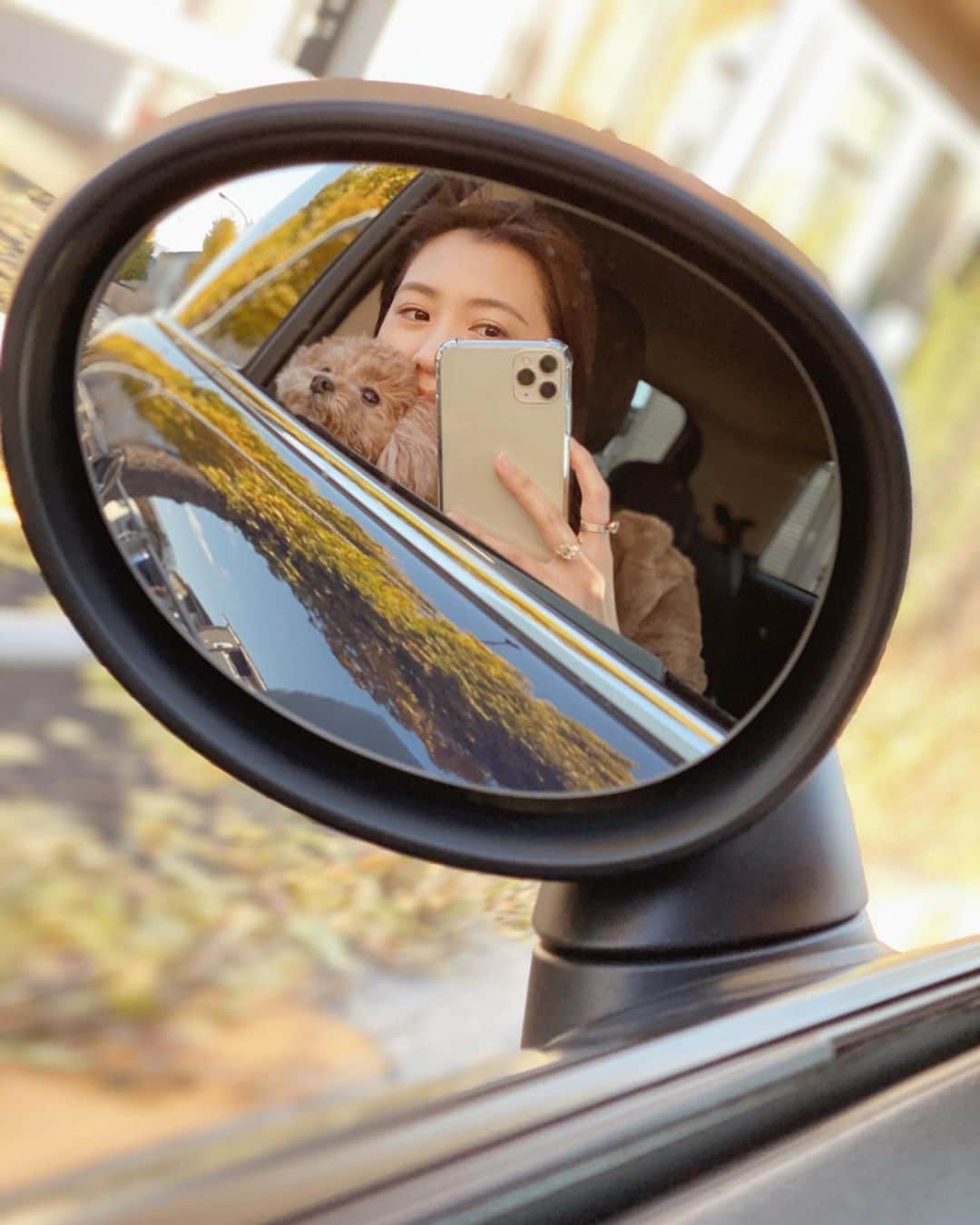mikicoco00のインスタグラム：「* * 早起きドライブ🚗🍁 めるが元気になったのでお出掛け🐶 天気も良くて楽しかった〜♡ 食べてばっかりごめんね🙊笑 * * * * #早起き#ドライブ#ピザ#🍕 #あんめる#dog#休日#ランチ  #テラス席 #紅葉」