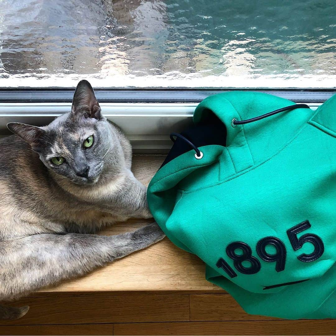 クリスヴァンアッシュさんのインスタグラム写真 - (クリスヴァンアッシュInstagram)「HOME IS WHERE THE CAT IS  #FRIDA  #krisvanassche #kris_van_assche #berluti #1895」12月8日 20時49分 - kris_van_assche