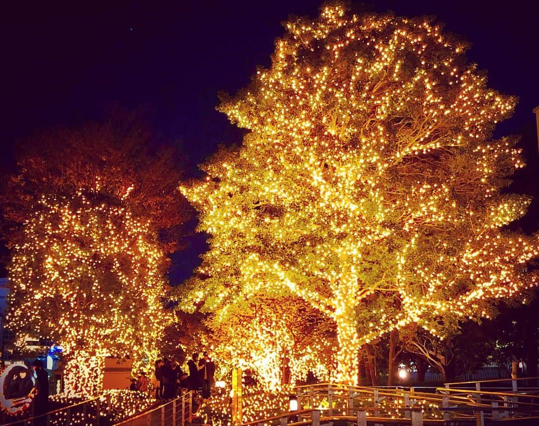 羽原信義のグルメインスタ