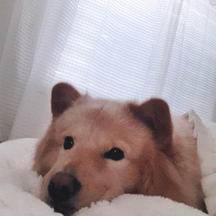 ギョンリ のインスタグラム：「🐻오마이갓!! 💖💖💖💖💖」