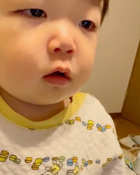 山西章博のインスタグラム：「イヤイヤ期かと思ったらダメダメ期。 #赤ちゃん #嫡男 #せがれ #イヤイヤ期 #ダメダメ期  #ずっとダメって言ってる #後半豆に聞こえる #豆豆期 #耳だけ似てる #耳以外も似て来た #これ以上似るな #ママリ#パパリ#ベビフル#ベビリトル#コドモノ#mamanoko#コノビー#mamanokoカメラ部#mamanokoギフトキャンペーン#コドモダカラ」