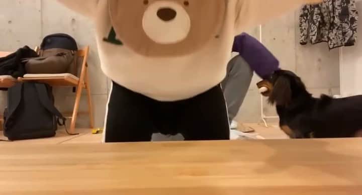 すしらーめん《りく》のインスタグラム：「#小さい者族　#弟」