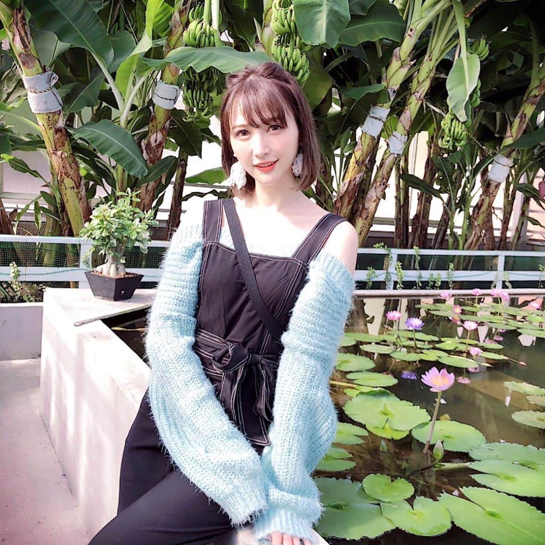 のインスタグラム：「おはよう、トレードマークのボブカット🦋 #1日1白雪」