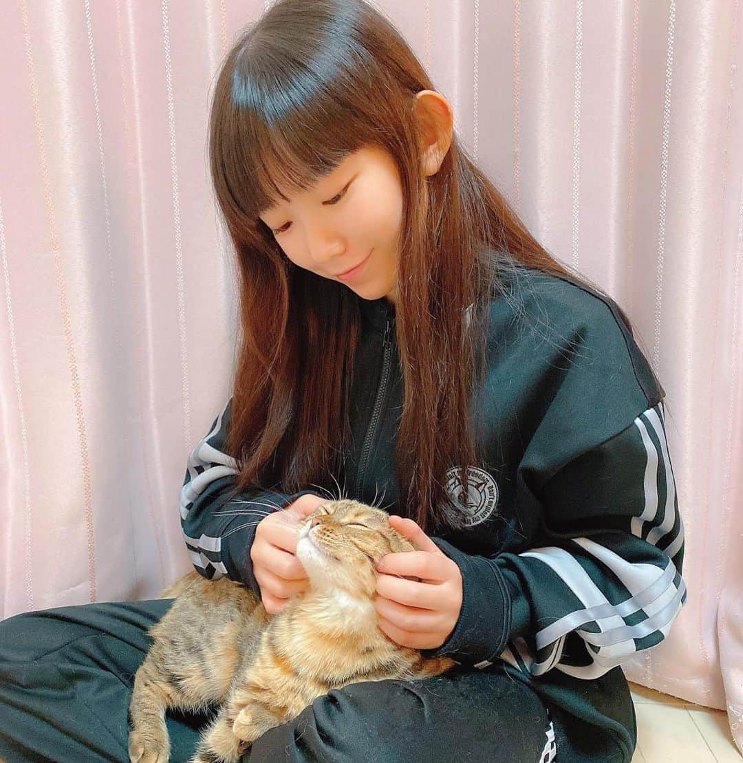 長澤茉里奈さんのインスタグラム写真 - (長澤茉里奈Instagram)「. 家に帰ってぽぽとあるがいることが1番の幸せ🐈❤️ #killremote のねこのジャージで愛でる。 @poposutaguramu  #にゃんすたぐらむ #ねこすたぐらむ @killremote」12月8日 14時55分 - marinanagasawa1008