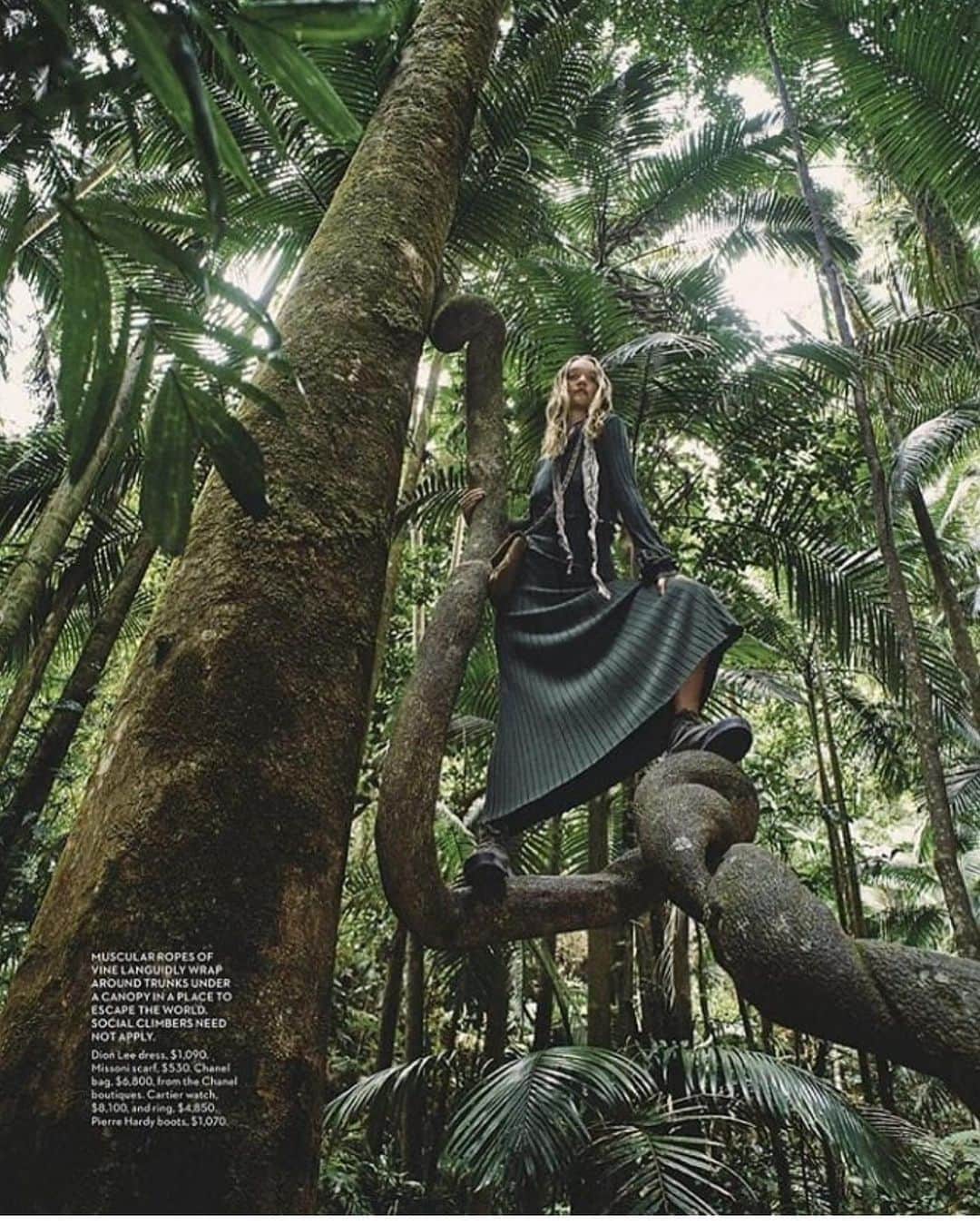 のインスタグラム：「Living my Mowgli fantasy life in @vogueaustralia for their 60th anniversary issue 🌳」
