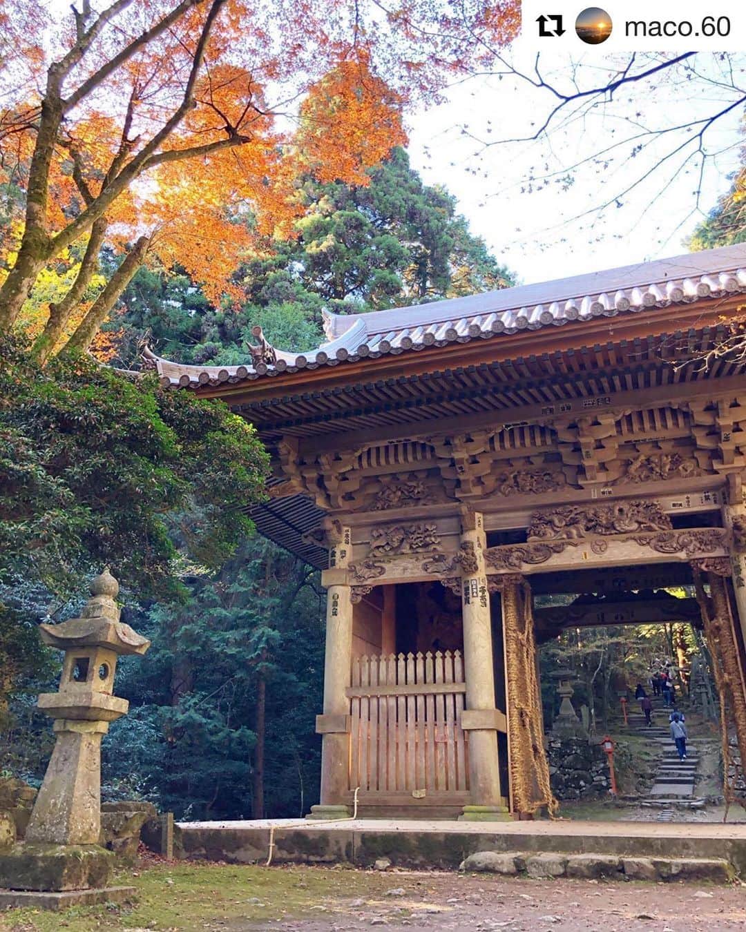 のインスタグラム：「もみじともう一つの見どころ﻿ ﻿ 今年も紅葉狩りのお客さんでにぎわう西山興隆寺﻿ ﻿ 重厚な山門も映えるんよね😉﻿ ﻿ ﻿ ﻿ Repost @maco.60 with @get_repost﻿ ・・・﻿ .﻿ .﻿ .﻿ 西山興隆寺に﻿ 紅葉狩りへ🍁🚗﻿ .﻿ 階段がこんなにあるとは知らず﻿ いいトレーニングに⭐️😆👌﻿ .﻿ 話しかけていただいた﻿ ご年配のご夫婦は﻿ 思わず写真を撮りたくなるほど﻿ お二人とも笑顔が素敵すぎた🥰💫﻿ .﻿ .﻿ .﻿ #西山興隆寺 #紅葉狩り #紅葉 #lovesaijo ﻿ #海賊フォト #愛媛紅葉フォト2019 #西条市紅葉 #🍁 #momiji #愛媛 #ehime #himesta #紅葉フォト﻿ ﻿ ﻿ ★西条まつり﻿ 　フォトコンテスト実施中★ （～12/31）﻿ ﻿ お祭りで撮った写真に﻿ ハッシュタグ「lovesaijo」「lovesaijoまつり」﻿ をつけて投稿してください☆﻿ ﻿ 素敵な商品が当たったり、﻿ ポスターなど市のPRに使われるかも。﻿ ﻿ 2015年までの過去の写真もOKなので、﻿ ぜひ投稿・編集を！﻿ 詳しくはストリーズを見てね。﻿ ﻿ #西条市 #いよ西条 #伊予西条 #愛媛 #四国 #瀬戸内 #Ehime #Shikoku #Setouchi #inaka #田舎暮らし #愛媛旅行 #四国旅行 ﻿ ﻿」