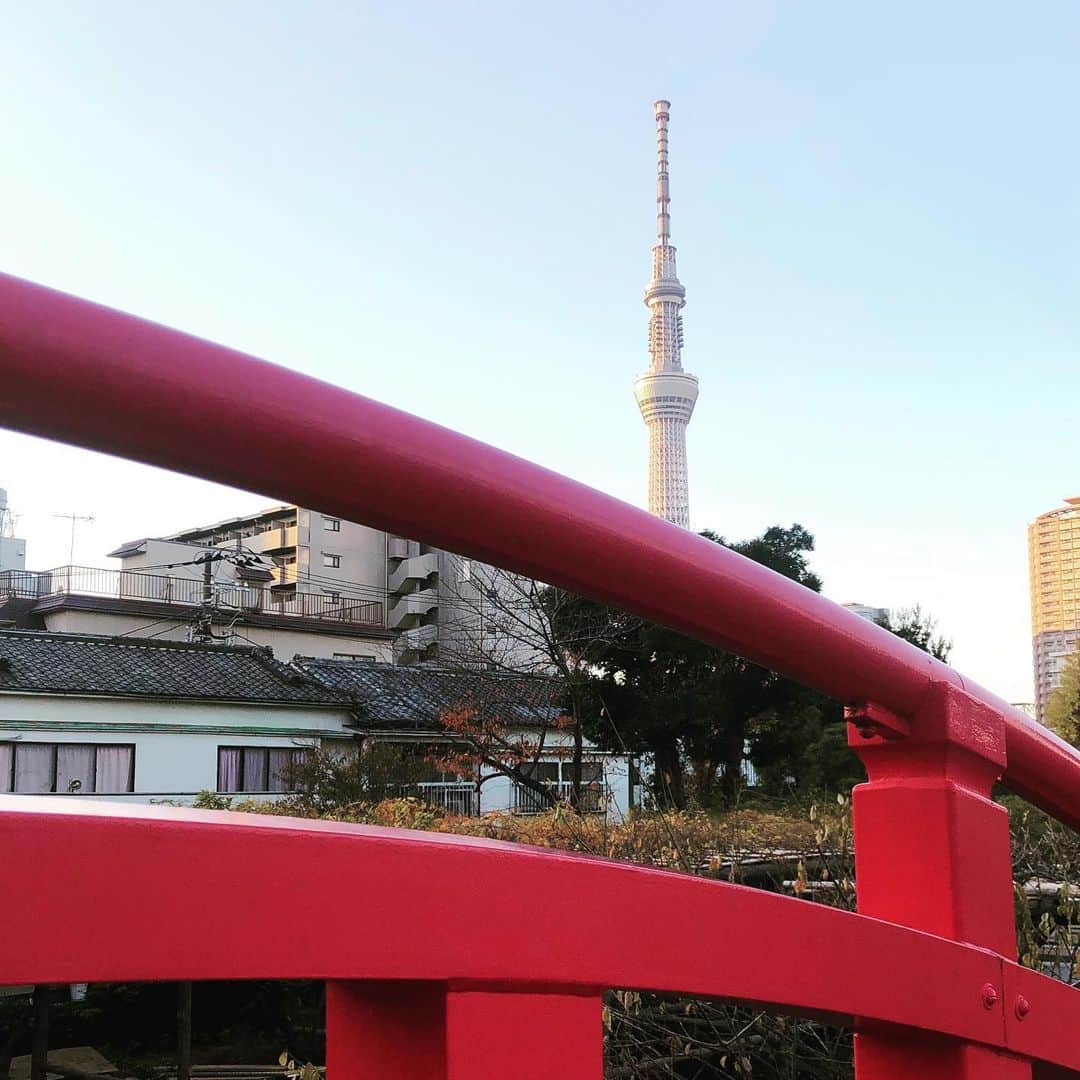 奥井亜紀さんのインスタグラム写真 - (奥井亜紀Instagram)「亀戸、はじめてきました！いつか、また藤の花のころにきたいなあ。」12月8日 16時33分 - akiokui