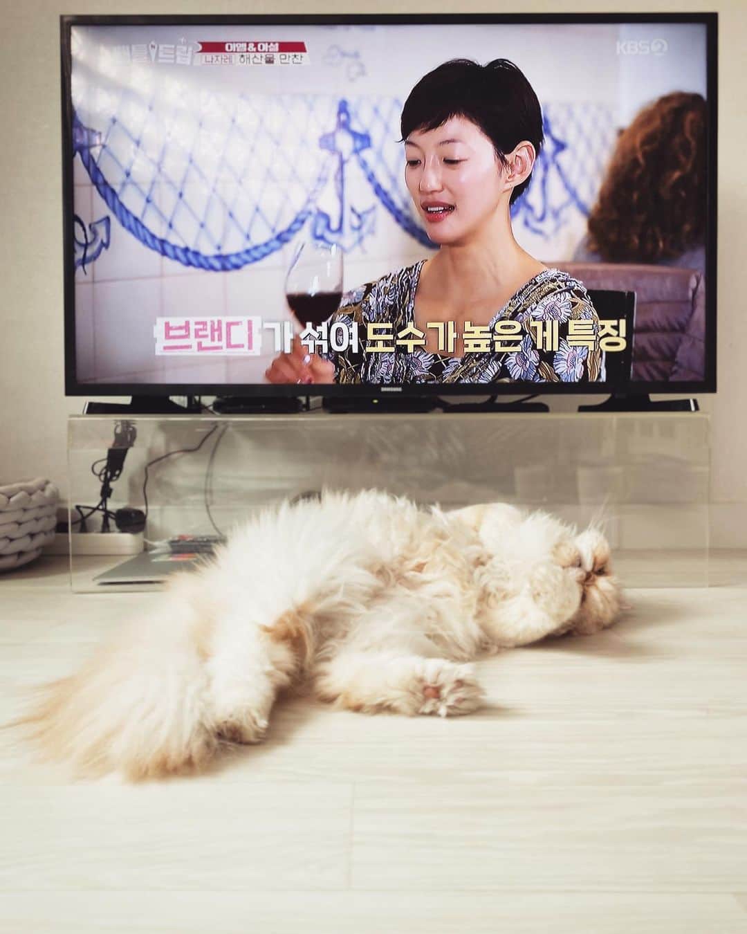 イ・エルのインスタグラム：「_ TV를 못 보겠네,아이 참 적당히 좀 귀여우시죠☺️ #김망고똥꼬아들내미마마냥꼬절미절미인절미」