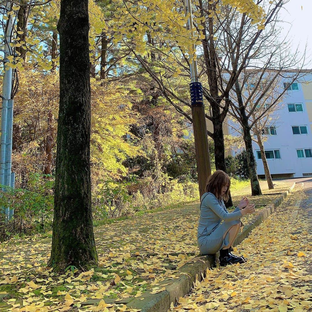 榎本温子さんのインスタグラム写真 - (榎本温子Instagram)「#portrait #jejuisland #紅葉 #jejutrip #チェジュ島 #チェジュ島旅行」12月8日 16時56分 - atsuko_bewe