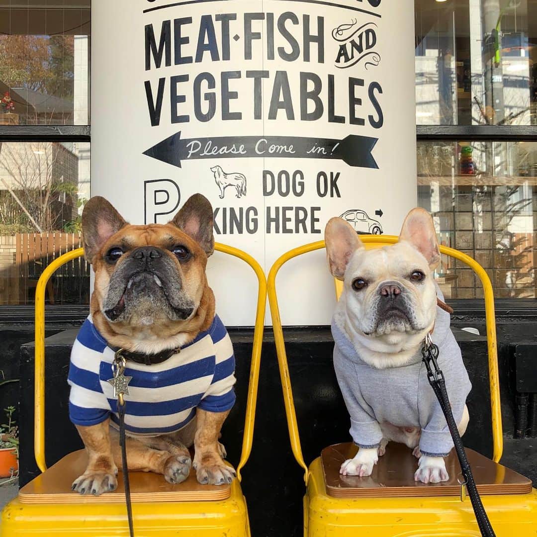 trs0609のグルメインスタ