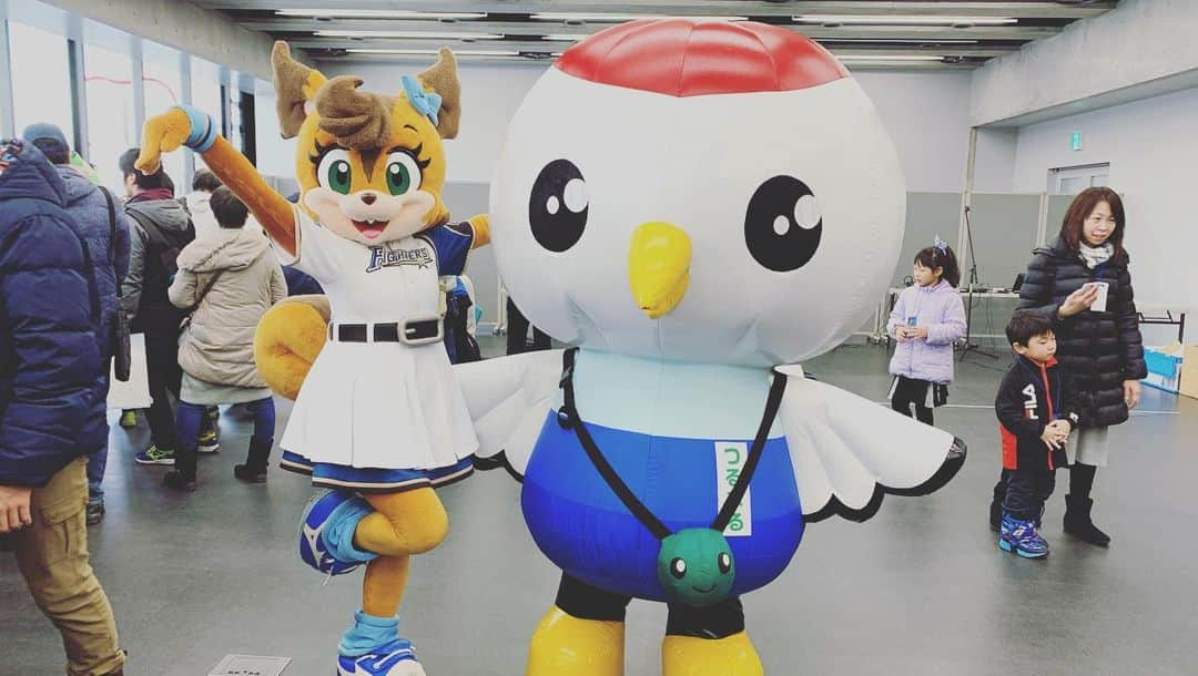 北海道日本ハムファイターズ フレップさんのインスタグラム写真 - (北海道日本ハムファイターズ フレップInstagram)「💓🐿💓🐿💓 今日は札幌ドームで開催された " JAFフェスティバル北海道2019 in 札幌ドーム" に出演してきたよ⭐️ 普段なかなか会うことのないご当地キャラクターのみんなと一緒にイベントを盛り上げました！ これだけキャラクターが揃うと、なかなかにぎやかで楽しかったよ〜🤣 道内、道外から参加してくれた皆さん、短い時間ではあったけど楽しんでもらえたかな？ ご来場ありがとうございました❤️ ・ B☆Bもブログで書いていたように、年内またみんなに会えるチャンスがあればわかり次第、 オフィシャルホームページ内の「マスコットスケジュール」でお知らせするので、楽しみに待っててねー♫ (代筆ぽりぃ🐿) 🌟 🎄 🌟 🎄 🌟 #lovefighters #ポリーポラリス #fightersgirl #三田部晏奈 #滝谷美夢 #あつまる #つるまる #テレビ父さん #とまチョップ #イベントの後に #札幌ドームの外で #雪遊びしてたら目撃されちゃった😆笑 #道外でもイベントがあればいいのにね #オフシーズンはなかなか会えなくて #さびしいよね😢 #マスコットのクリスマスグッズが🐻🐿🦊 #好評発売中らしいです🎄 #よろしくおなしゃす #まりあちゃんのこんさーと🎤 #ぽりーもいきたかったな」12月8日 19時05分 - frep_the_fox