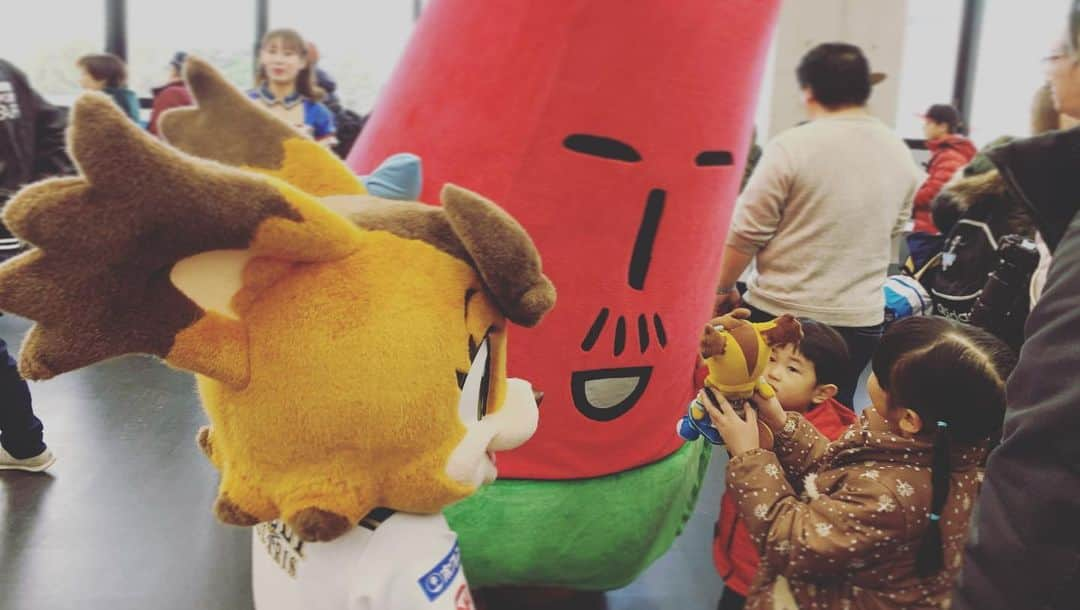 北海道日本ハムファイターズ フレップさんのインスタグラム写真 - (北海道日本ハムファイターズ フレップInstagram)「💓🐿💓🐿💓 今日は札幌ドームで開催された " JAFフェスティバル北海道2019 in 札幌ドーム" に出演してきたよ⭐️ 普段なかなか会うことのないご当地キャラクターのみんなと一緒にイベントを盛り上げました！ これだけキャラクターが揃うと、なかなかにぎやかで楽しかったよ〜🤣 道内、道外から参加してくれた皆さん、短い時間ではあったけど楽しんでもらえたかな？ ご来場ありがとうございました❤️ ・ B☆Bもブログで書いていたように、年内またみんなに会えるチャンスがあればわかり次第、 オフィシャルホームページ内の「マスコットスケジュール」でお知らせするので、楽しみに待っててねー♫ (代筆ぽりぃ🐿) 🌟 🎄 🌟 🎄 🌟 #lovefighters #ポリーポラリス #fightersgirl #三田部晏奈 #滝谷美夢 #あつまる #つるまる #テレビ父さん #とまチョップ #イベントの後に #札幌ドームの外で #雪遊びしてたら目撃されちゃった😆笑 #道外でもイベントがあればいいのにね #オフシーズンはなかなか会えなくて #さびしいよね😢 #マスコットのクリスマスグッズが🐻🐿🦊 #好評発売中らしいです🎄 #よろしくおなしゃす #まりあちゃんのこんさーと🎤 #ぽりーもいきたかったな」12月8日 19時05分 - frep_the_fox