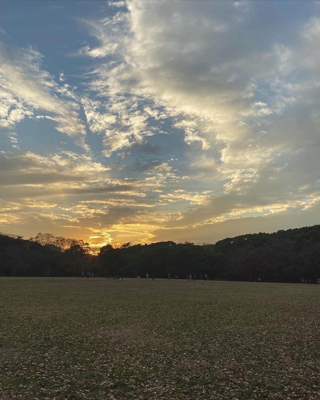 菅野梓のインスタグラム：「. 昔から大の散歩人間で、特に公園とか川の側を時間気にせず歩くのが好き。3150。 写真だと枯れ気味だけど代々公まだまだ紅葉あったよ🍁 あゆむさんありがとうございました😽 . #代々木公園 #紅葉」