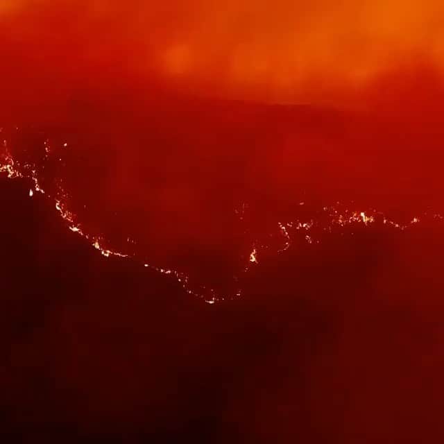 WildLifeのインスタグラム：「- 24 people dead - 8,000 koalas dead - 500M animals dead - More than 1400 homes destroyed - Over 5.5 million hectares burned - More than 10 million people in toxic level of bushfire smoke — The best way to help is to donate money to the organizations (tagged on the last post). — Pilots perspective @charlie778440 flying out of the darkness after warning people to leave, flying over a spot fire 10kms in front of main fire. — 📍 #RecoverAustralia — 📸 cc @charlie778440 @wollemiwarriors」