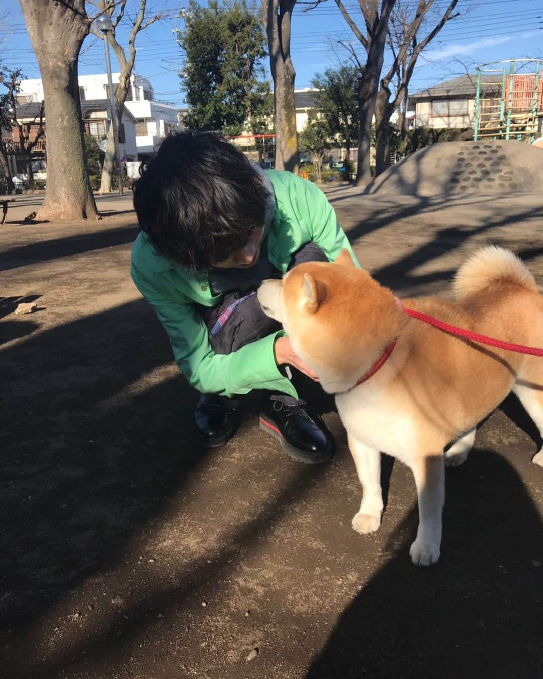 安井一真さんのインスタグラム写真 - (安井一真Instagram)「ムニムニしてたら見つめられた」1月7日 0時33分 - natsunoyasui