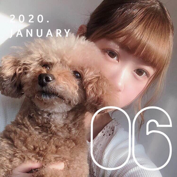 「SNOW」顔認識カメラアプリさんのインスタグラム写真 - (「SNOW」顔認識カメラアプリInstagram)「#puppy﻿ ﻿ 癒し🐶💕　﻿ 日付を入れて記録📸　﻿ ﻿ ﻿ #snowcam#snowapp#snowアプリ#いぬ#犬バカ部#トイプー#トイプードル#写真加工#加工　﻿」1月6日 16時26分 - snow_japan