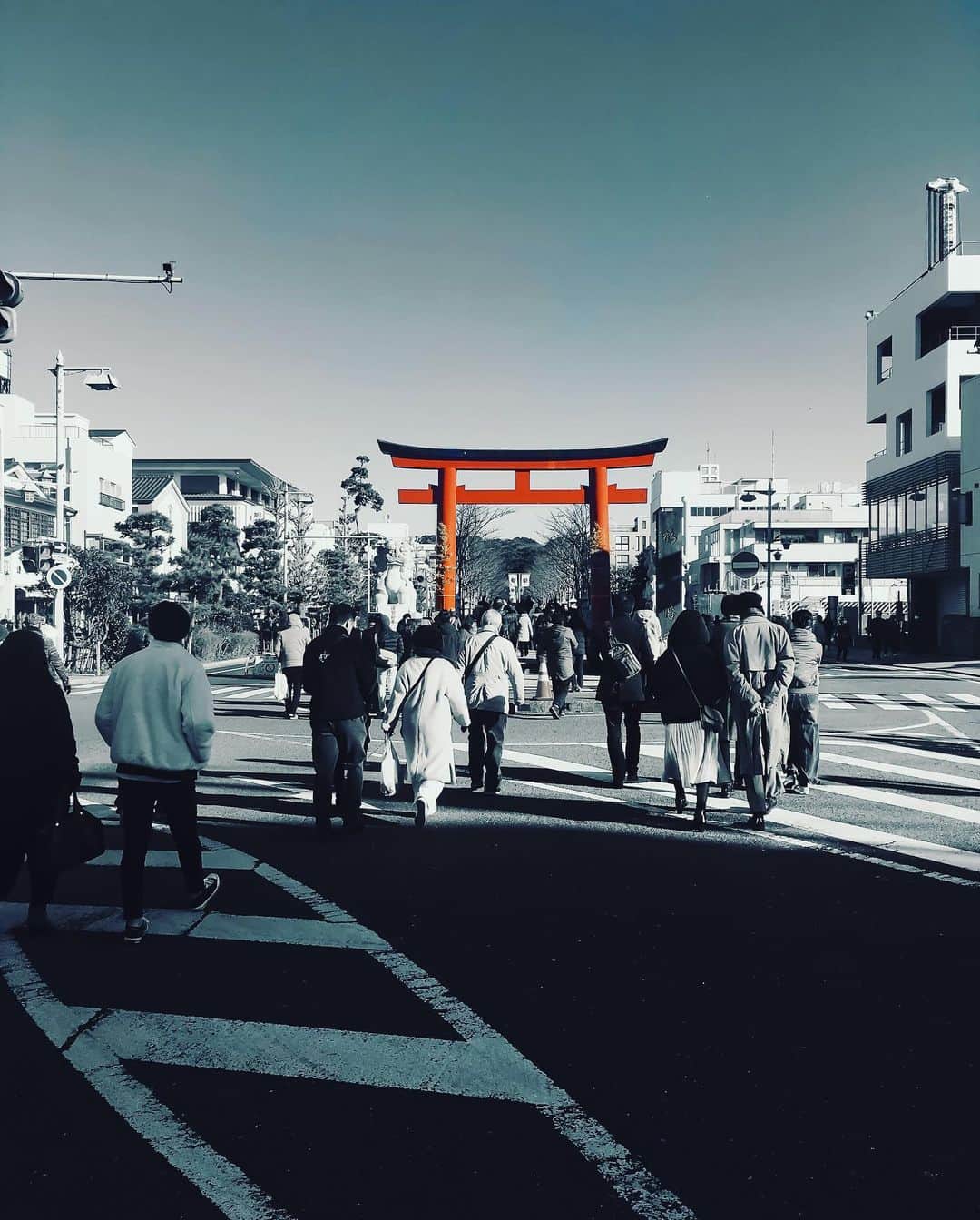 まめのグルメインスタ