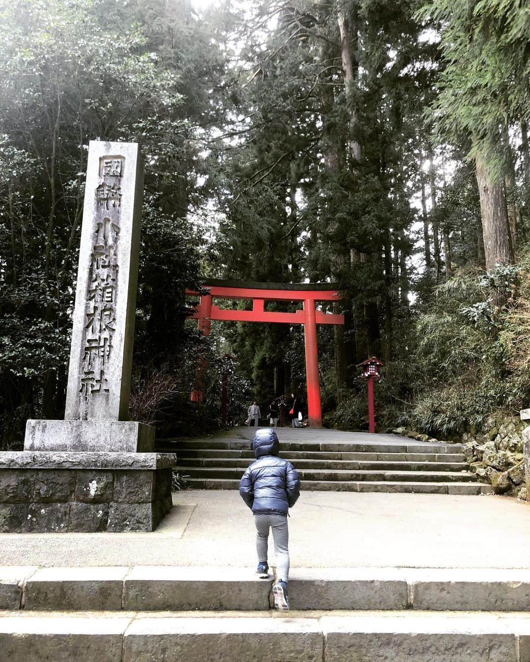 SHOCK EYEさんのインスタグラム写真 - (SHOCK EYEInstagram)「御鎮座1250年を超える箱根神社を参拝してきたよー⛩ 数多の武将達が心願成就、勝負の神として、関東総鎮守 箱根権現と崇敬してきた立派な神社で関東随一のパワースポットと称されているよ✨ 今日は訪ねることができなかった九頭龍神社 本宮の変わりに、すぐ隣の新宮は参拝できてとても満足✨🙏 山の神社はとにかく木々のパワーが凄くてね。 沢山パワーを充電できた気がしたよ。 皆も是非行ってみて^_^ 個人的には安産杉のパワーが凄かったなー✨ #箱根神社 #九頭龍神社 #初詣 #神社 #shrine #jinja #shintoshrine #shinto #関東総鎮守 :  I visited to pray Hakone Shrine which was founded over 1,250 years ago.  Many military commanders prayed here devotedly for their dreams come true and success and revered as mountain worship.  Hakone Shirine is well known as one of the strongest spiritual place in Kanto area.  I was satisfied enough that I could visit new constructed shrine ( Shingu) at Kuzuryu Shirine, although I could not visit main one today.  I was really amazed the power of trees from shrines in mountains.  I felt I could charge my energy enough.  Please visit there!  I personally feels the Anzan Sugi ( the cedar tree for safe delivery) gives really strong energy.  #hakoneshirine #hakonejinja #Kuzuryushirine #Kuzuryujinja #jinja #shirine #shintoshrine #shinto #hatsumoude」1月6日 16時38分 - shockeye_official