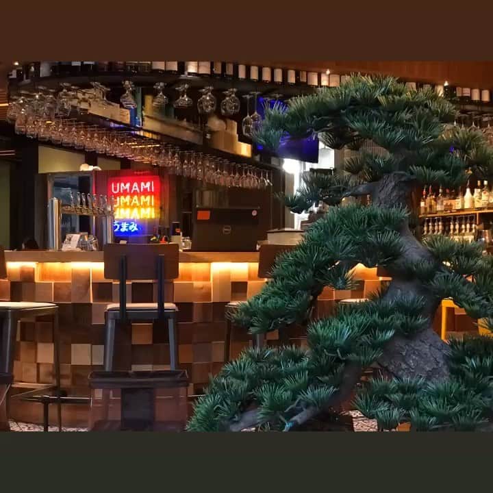 umamiburgerjpnのグルメインスタ