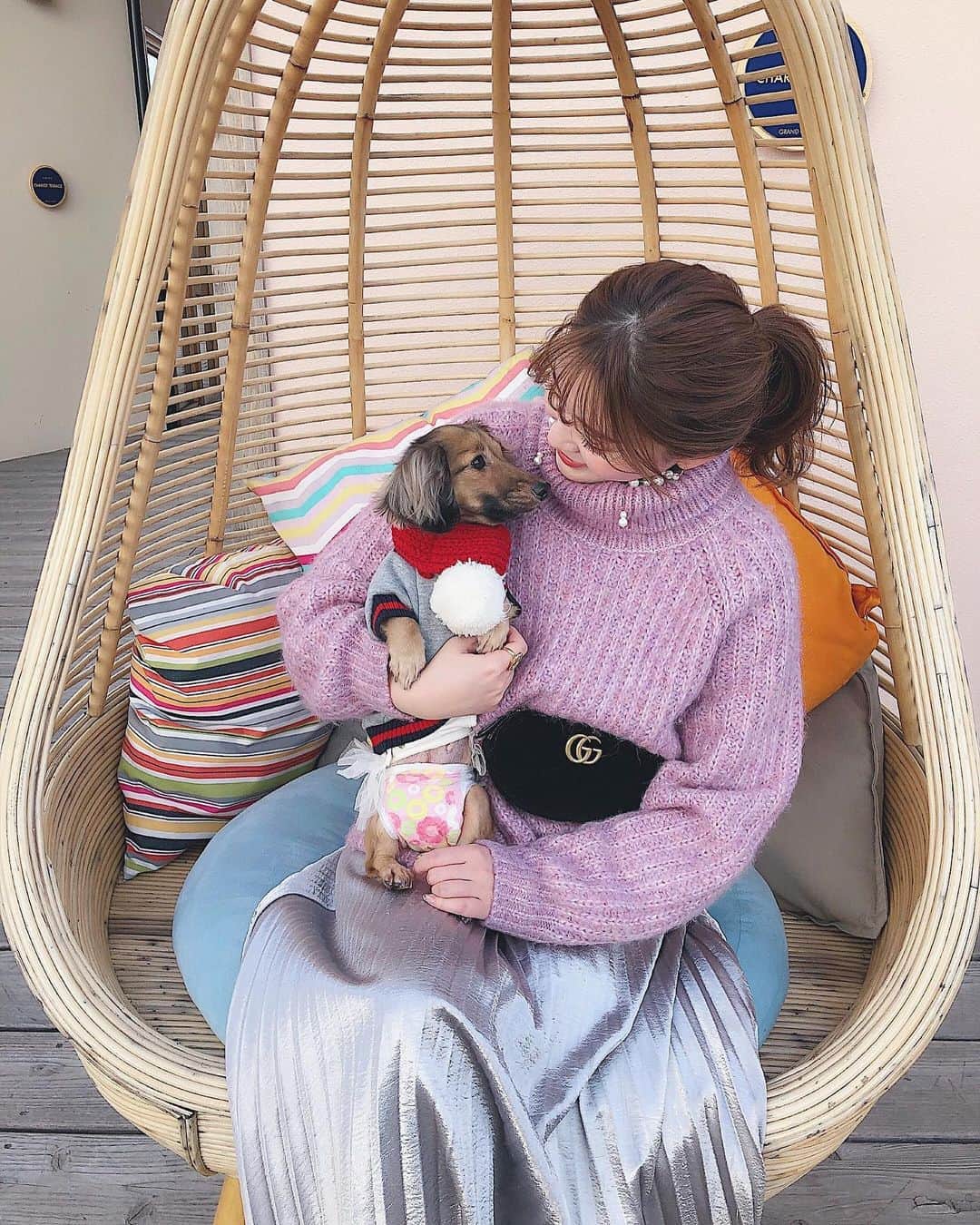 藤川沙弥のインスタグラム：「𓆸*ﾟ﻿ ﻿ 年末年始べーったり 一緒に﻿過ごしたリン様🐶🤎﻿ ﻿ リンってほんまに変わった子で。笑﻿ 1人遊びも大好きで黙々と仕事のように﻿ クッションをハムハムしてるし﻿ 静か過ぎてどこにいるか﻿分からない時もある位﻿ ワン！って理由なく吠えないんです。笑﻿ おかえり！﻿ 💩したよ！﻿ (こちらが気付いてない時に﻿ お知らせしてくれる笑)﻿ 階段からおろして！とか、﻿ 究極に遊んでほしい時以外、﻿ ワンって言わない😳笑﻿ 寝る時は腕枕されにきて﻿ 人間のように寝ます。笑﻿ ほんまにお犬さんなの？🐶﻿ とたまに質問しちゃうw﻿ ﻿ 本当に愛が止まらん。😤❤️﻿ 日々癒しと笑いを届けてくれる😂❤️﻿ 今年もまた旅行いこっ👜﻿ ﻿ よく聞かれるんだけど、﻿ カニンヘンダックスなので﻿3kg位で 体が小さいけどもう７歳なんです🥳﻿ ﻿ ちょっと書きたくなったので✍🏻﻿ 長々とすみません♥︎笑﻿ ﻿ ﻿ ﻿ ﻿ ﻿」