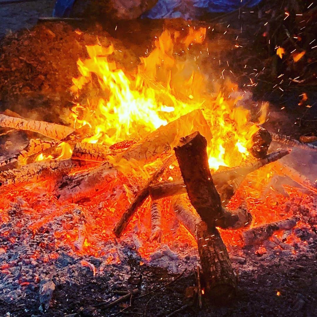 LABOdezaoさんのインスタグラム写真 - (LABOdezaoInstagram)「あけましておめでとうございます！ デザオ建設は本日から平常業務。本年もどうぞよろしくお願い致します。 デザオ北野スクエア つなぐモデルハウス「とこしえ」は、家づくりに纏わるちょっと京都に拘った情報を発信する拠点として今年もいりいろ展開してまいります。機会あらば是非お立ち寄りください^ ^ #上賀茂神社 ユネスコの世界遺産に登録されている京都で最も古い神社さん。丁寧に手を入れられた社が森の中に佇む姿が美しい #ヤタガラス #焚き火 個人的には初詣のお楽しみの一つ。ここの焚き火は美しくて見入ってしまいます #デザオ北野スクエア #つなぐモデルハウスとこしえ  #デザオ建設北野展示場  #ライフスタイルリノベーション #マンションリノベ #マンションリノベーション #デザオ建設 #デザオ #DEZAO  #DsLABO #京都#戸建リノベーション #リノベーション #リフォーム  #注文住宅 #マイホーム  #家 #住宅 #建築 #暮らし #マイホーム計画 #インテリア #デザイン #家づくり ＊デザオ建設のリフォーム、詳しい情報はこちらからどうぞ → @dezaoreform」1月6日 18時03分 - dezaoreform