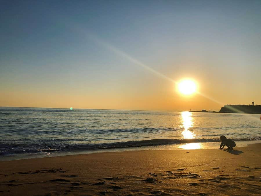 くるみさんのインスタグラム写真 - (くるみInstagram)「. 憧れの湘南地区🐕✨✨ 下町から遠いけど憧れる〜 . . #ロンくんとか #リリコさんとか #春ちゃんとか #憧れ」1月6日 18時21分 - kurukurukurumi222